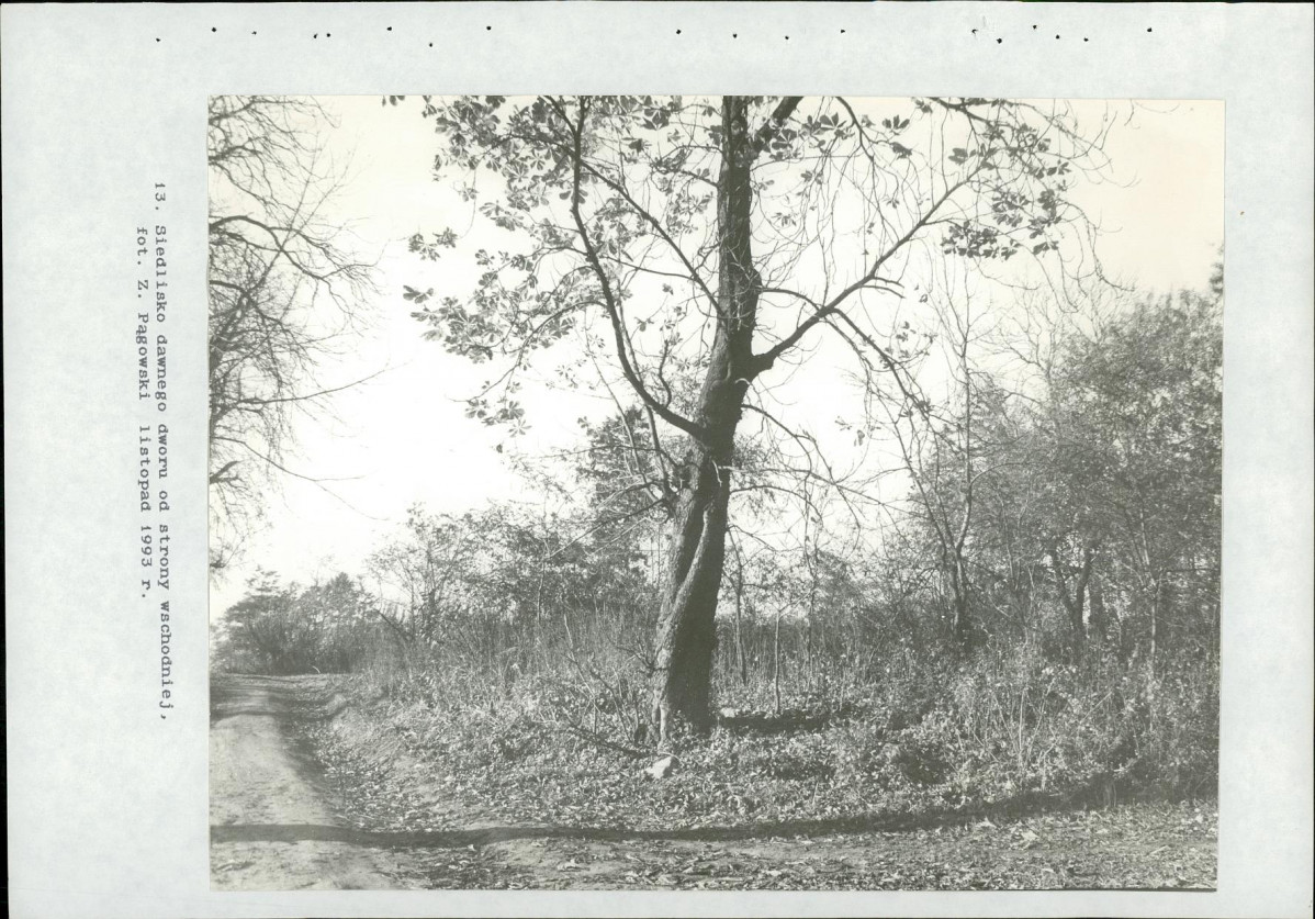 Ewidencja parkowa, skan nr 66