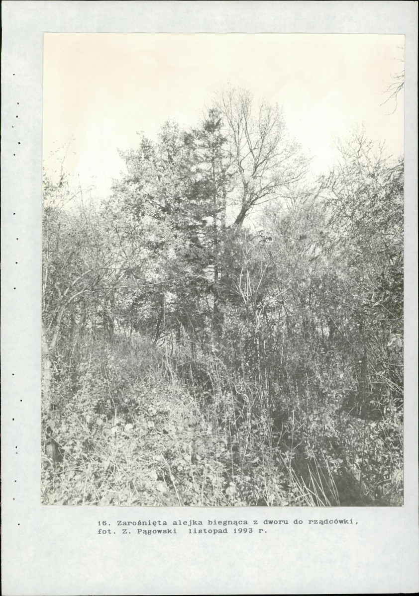 Ewidencja parkowa, skan nr 69