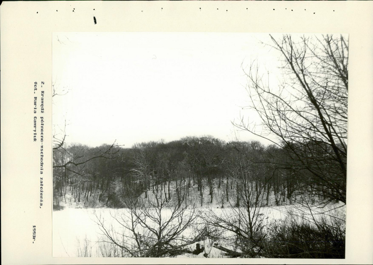 Ewidencja parkowa, skan nr 46