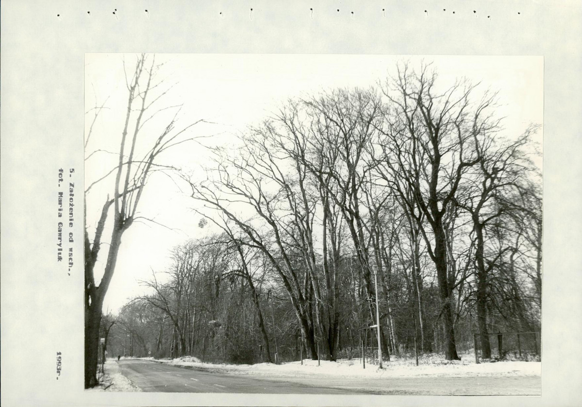 Ewidencja parkowa, skan nr 49