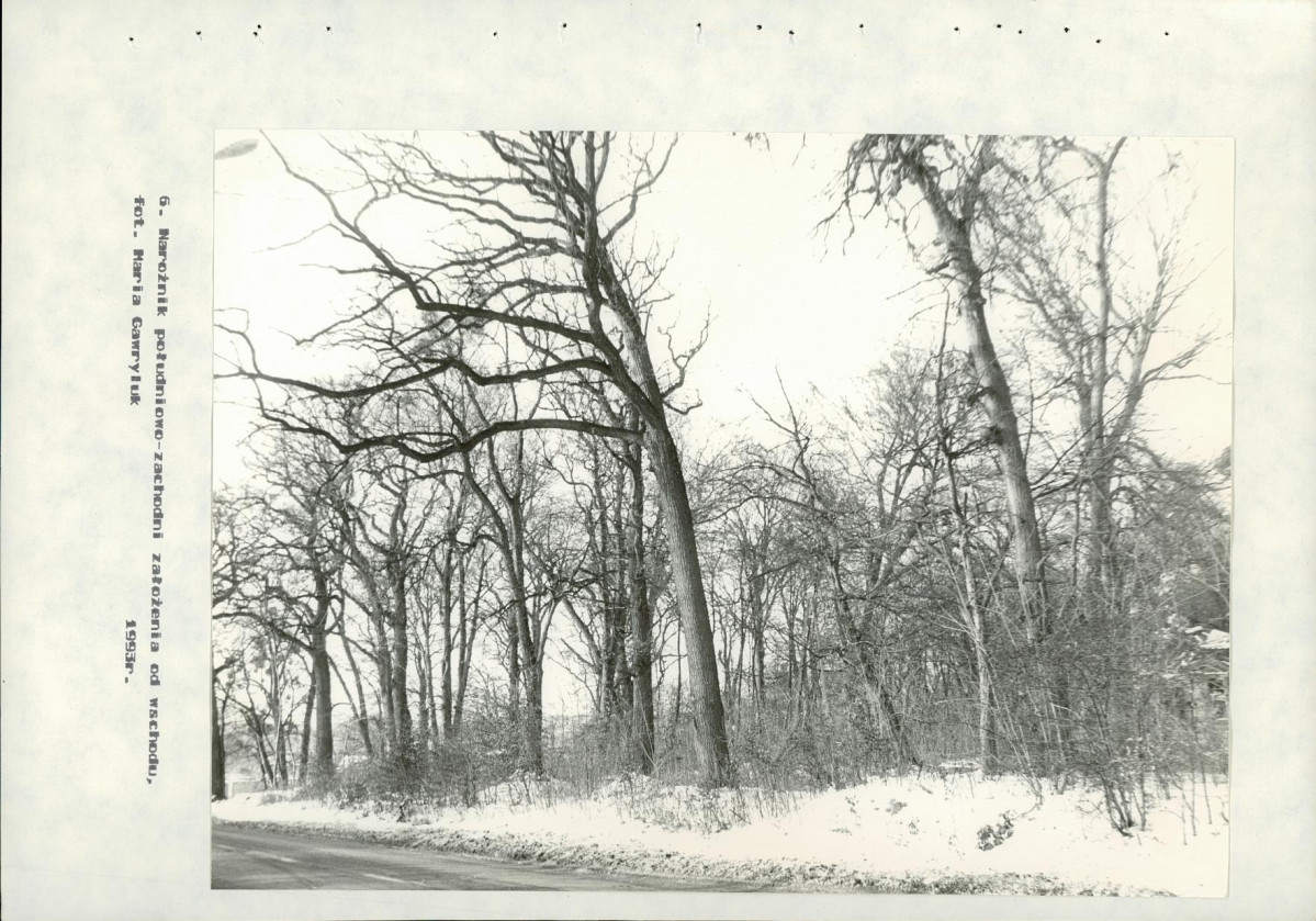 Ewidencja parkowa, skan nr 50