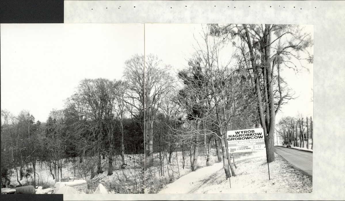 Ewidencja parkowa, skan nr 54