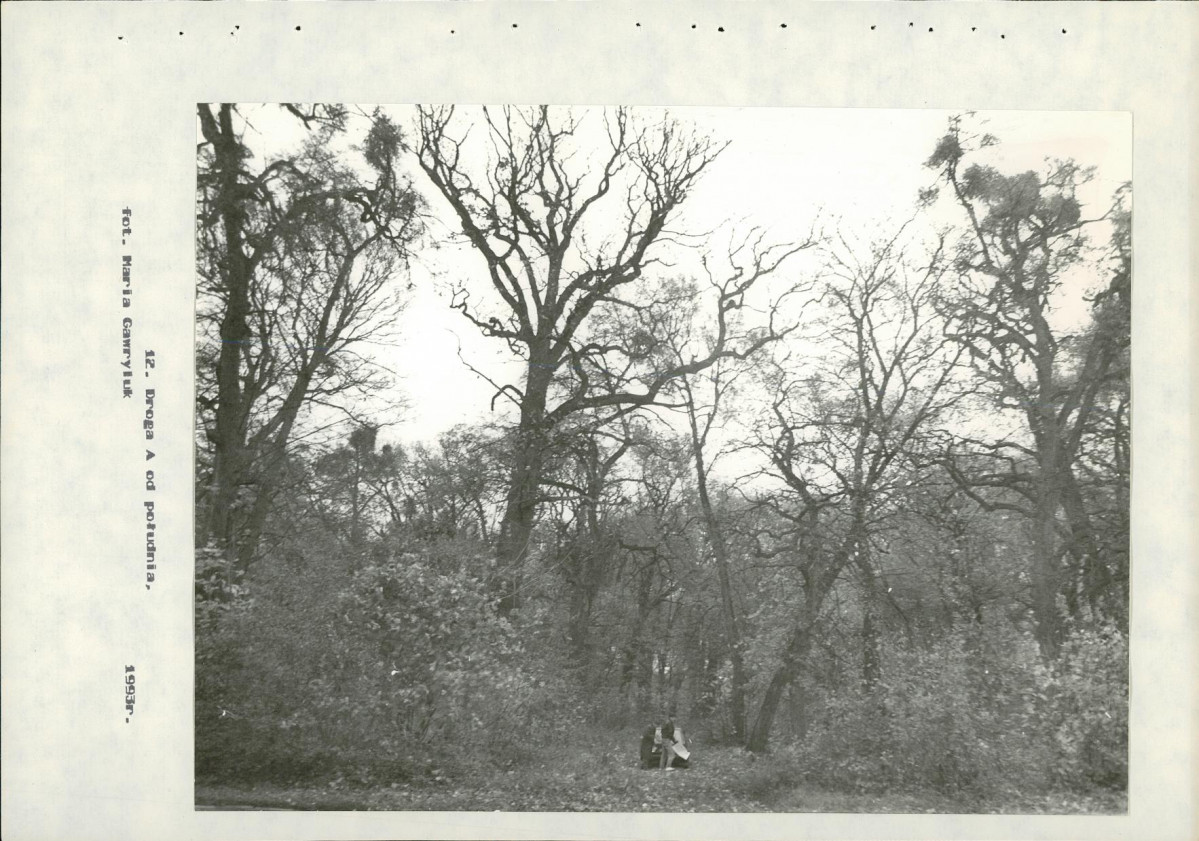 Ewidencja parkowa, skan nr 56