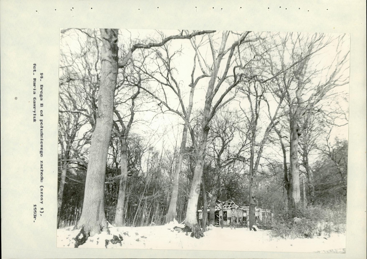 Ewidencja parkowa, skan nr 58