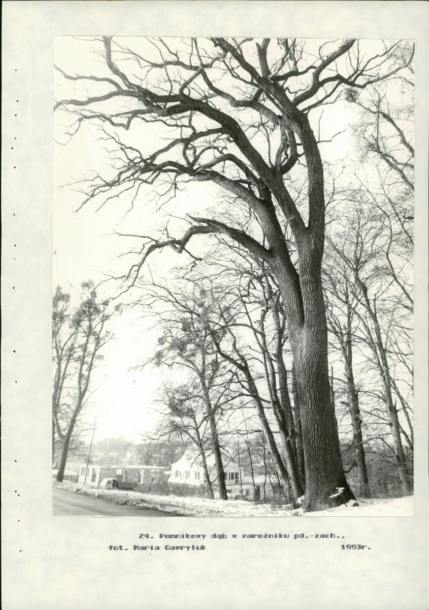 Ewidencja parkowa, skan nr 68