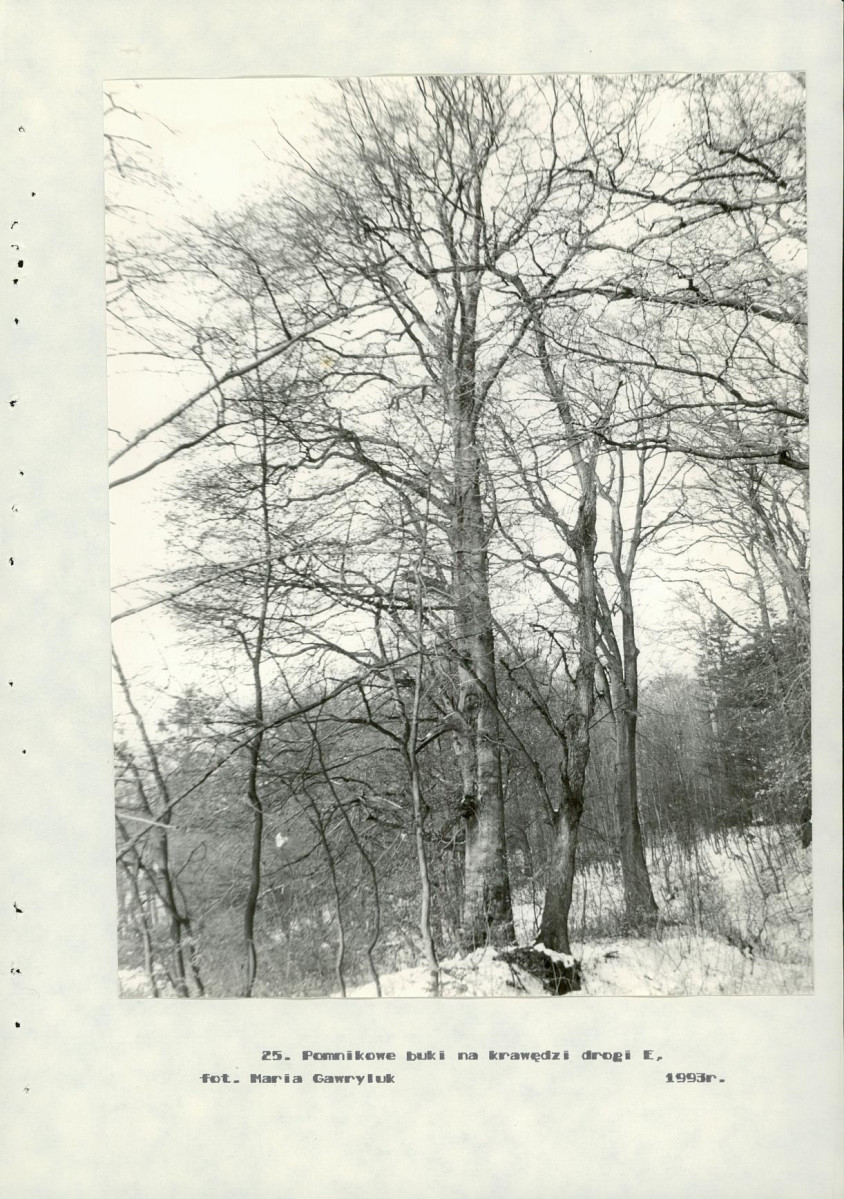 Ewidencja parkowa, skan nr 69