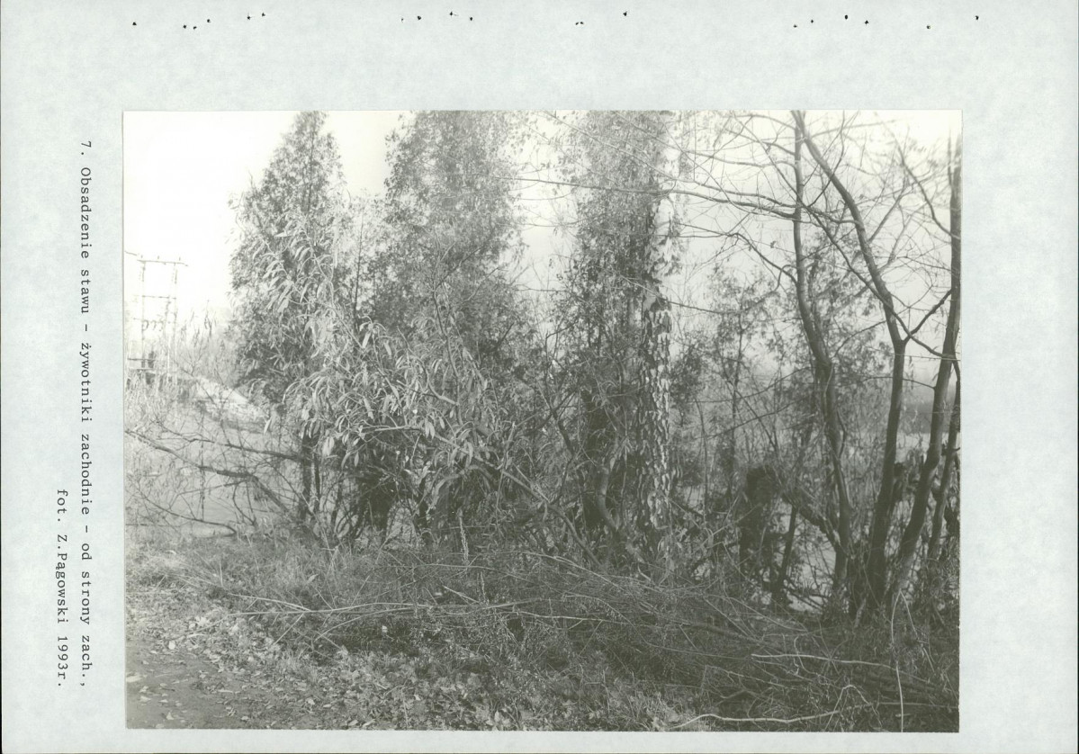 Ewidencja parkowa, skan nr 57