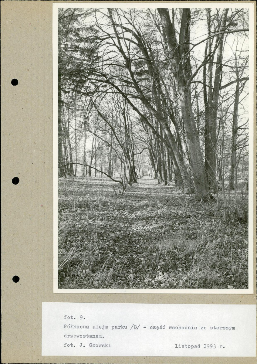 Ewidencja parkowa, skan nr 36