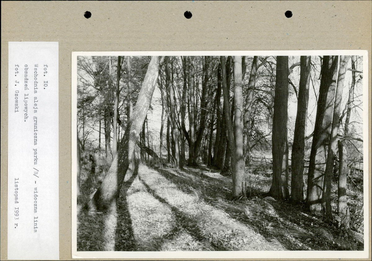 Ewidencja parkowa, skan nr 37