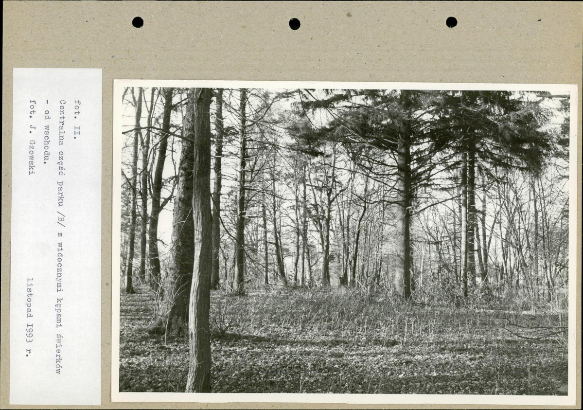 Ewidencja parkowa, skan nr 38