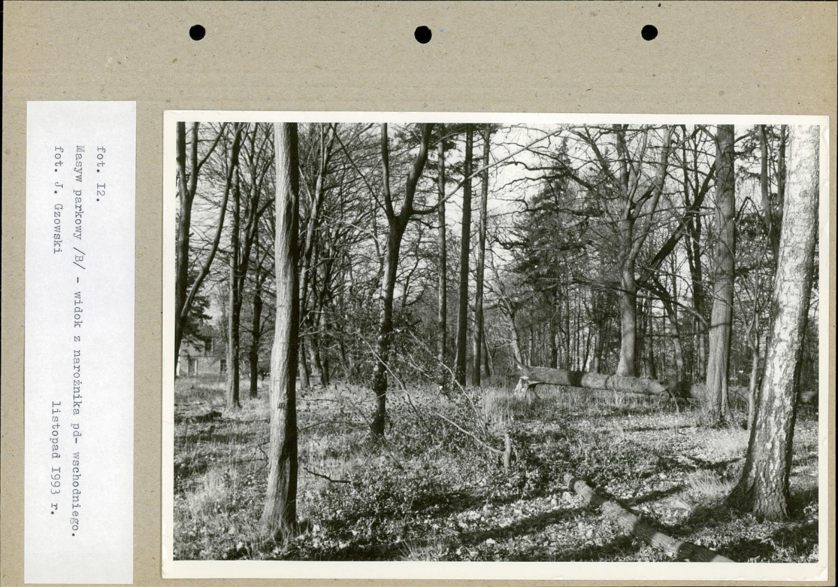Ewidencja parkowa, skan nr 39