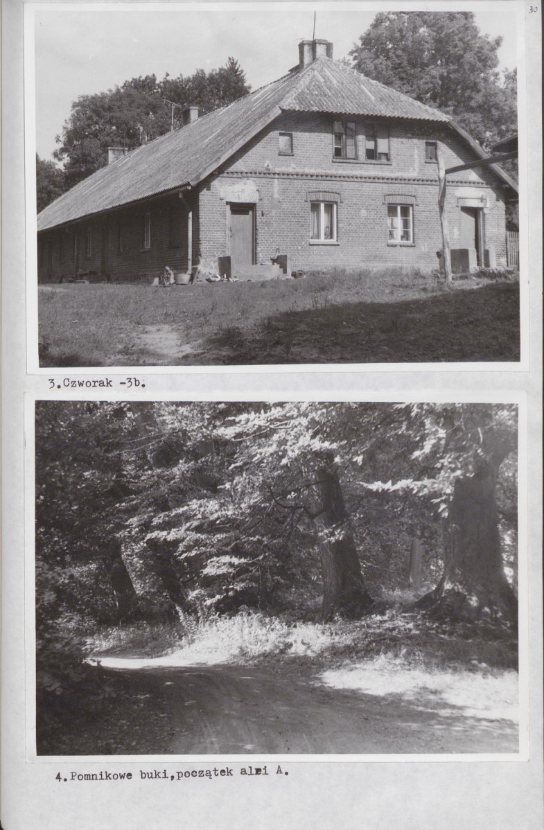 Ewidencja parkowa, skan nr 36