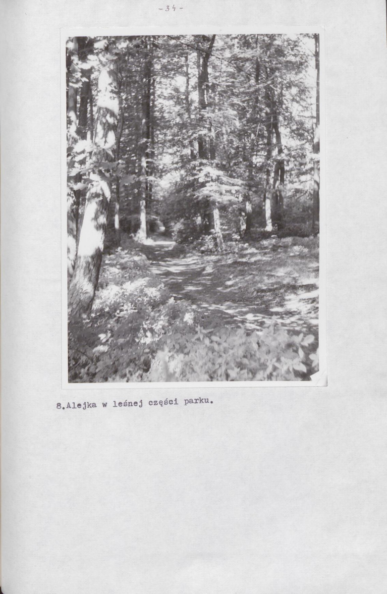 Ewidencja parkowa, skan nr 40