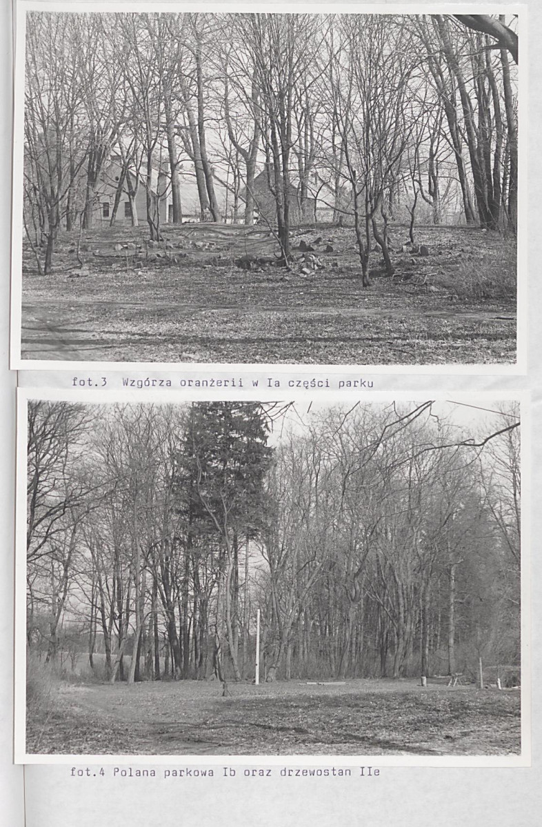 Ewidencja parkowa, skan nr 58