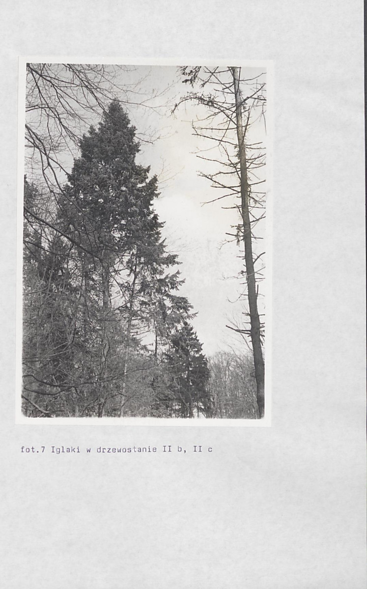 Ewidencja parkowa, skan nr 61