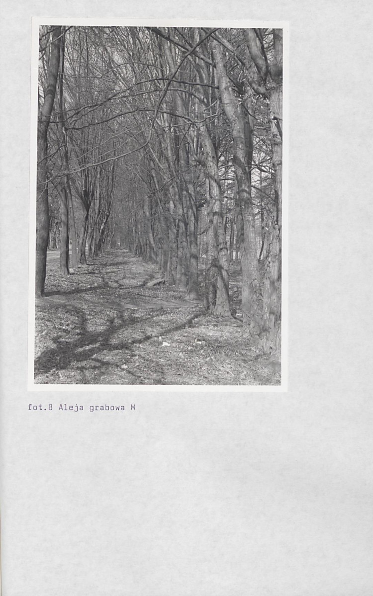 Ewidencja parkowa, skan nr 62