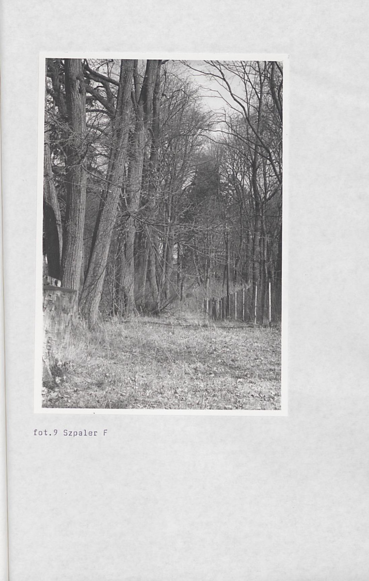 Ewidencja parkowa, skan nr 63