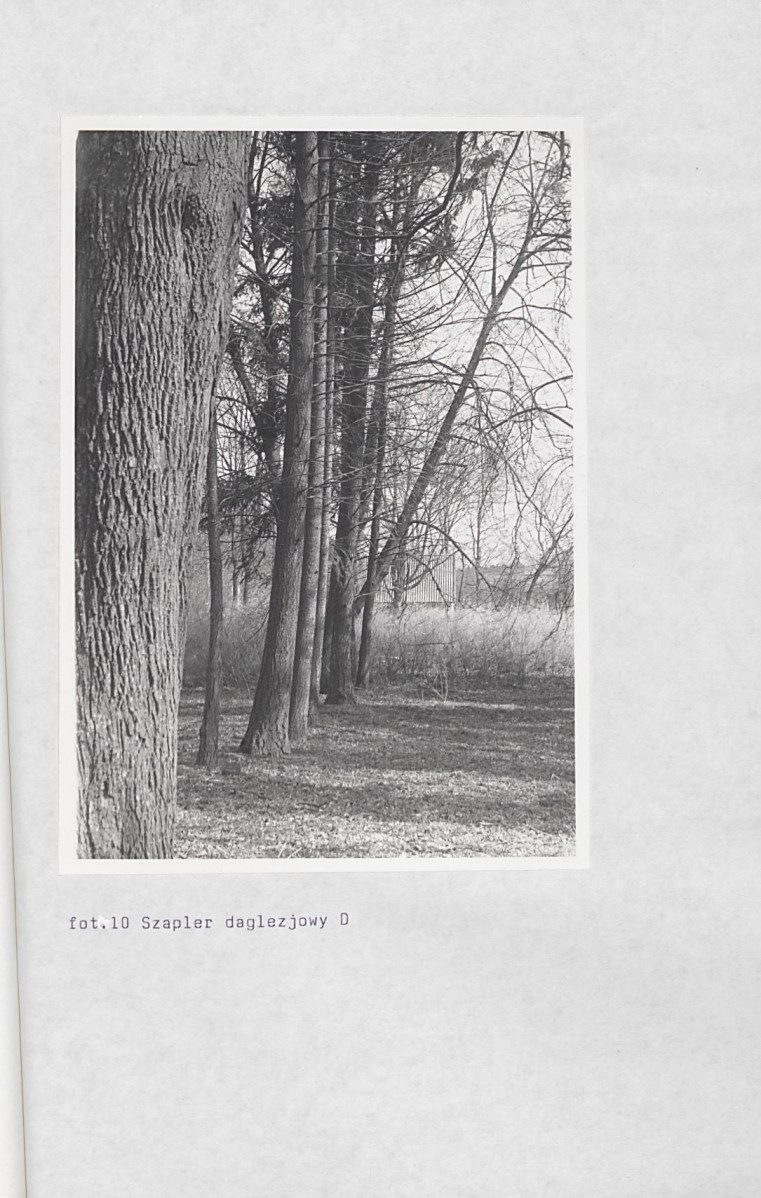 Ewidencja parkowa, skan nr 64