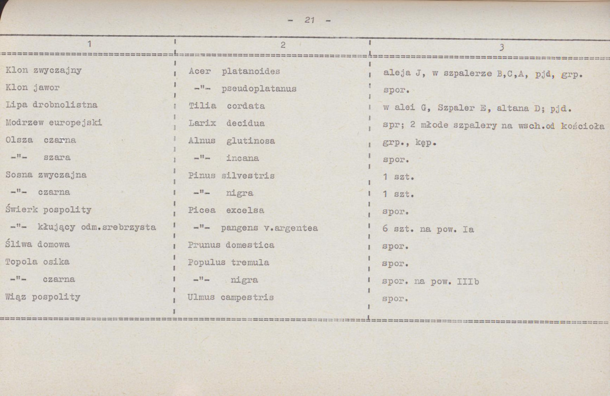 Ewidencja parkowa, skan nr 28