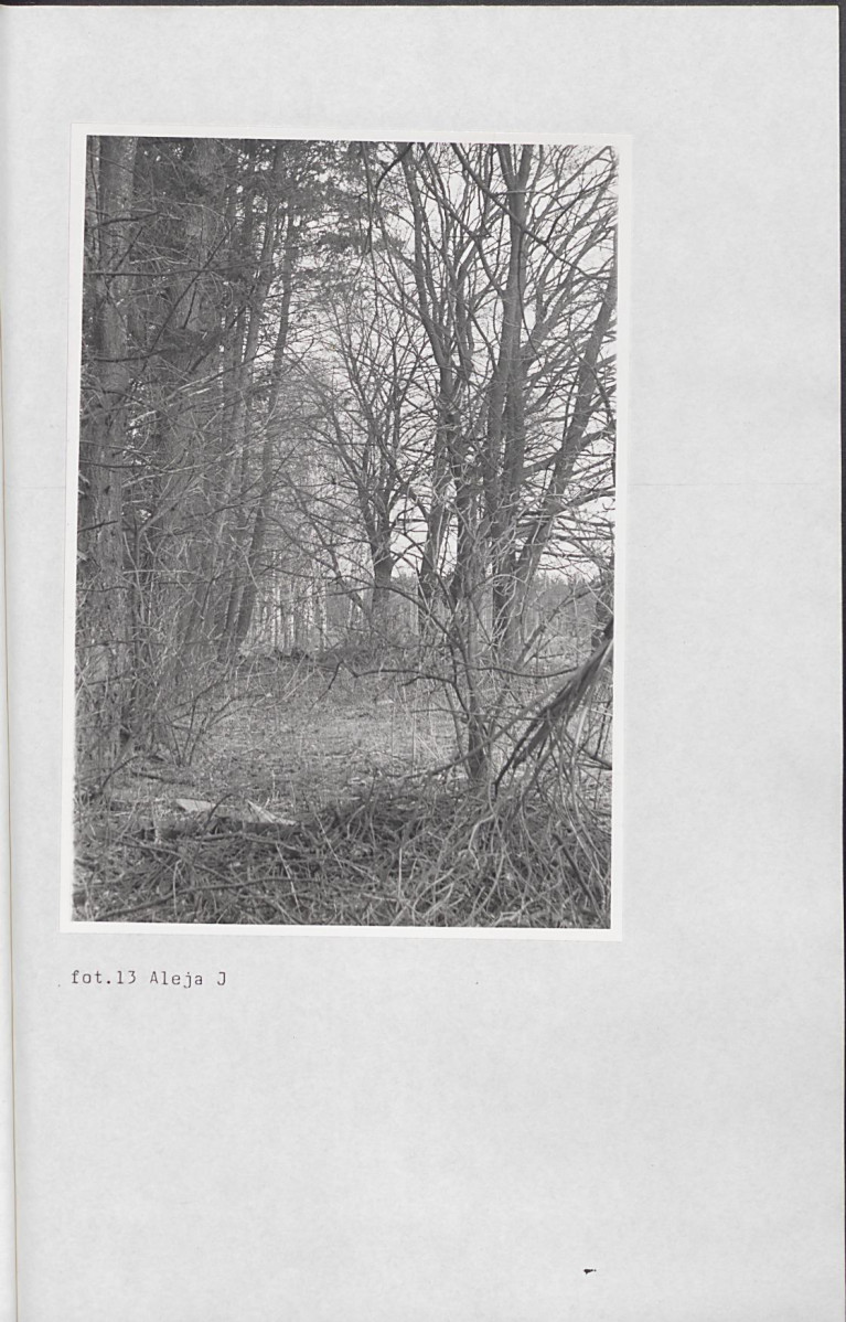 Ewidencja parkowa, skan nr 67