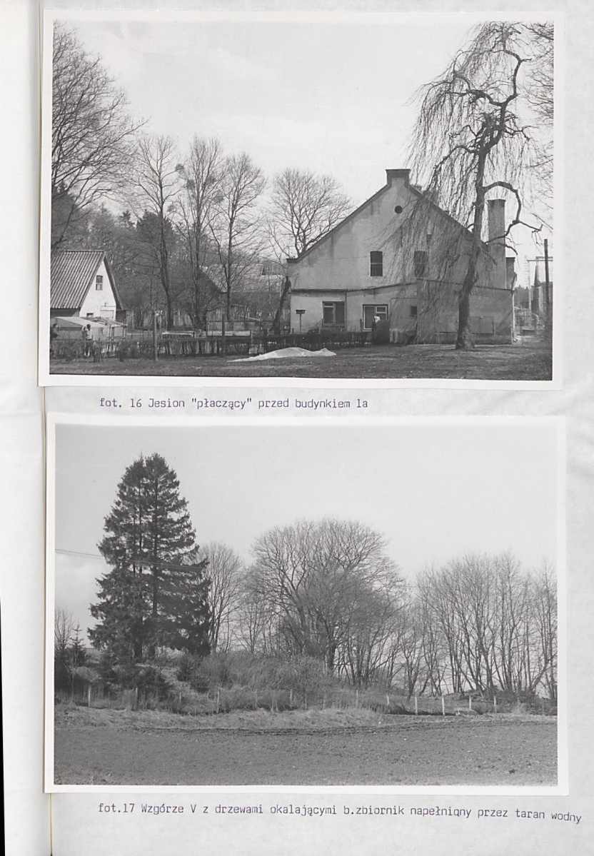 Ewidencja parkowa, skan nr 69