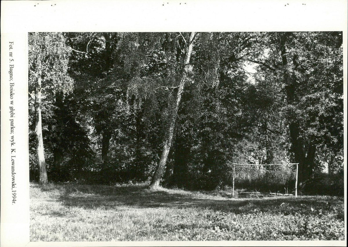 Ewidencja parkowa, skan nr 36