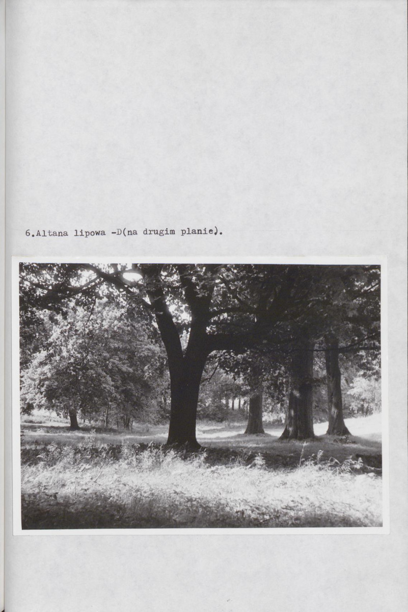 Ewidencja parkowa, skan nr 40