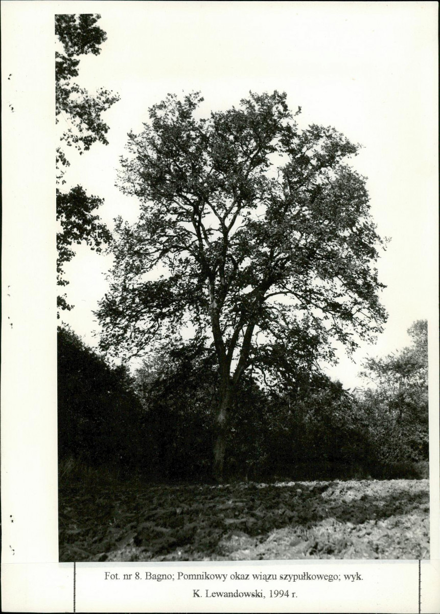 Ewidencja parkowa, skan nr 39