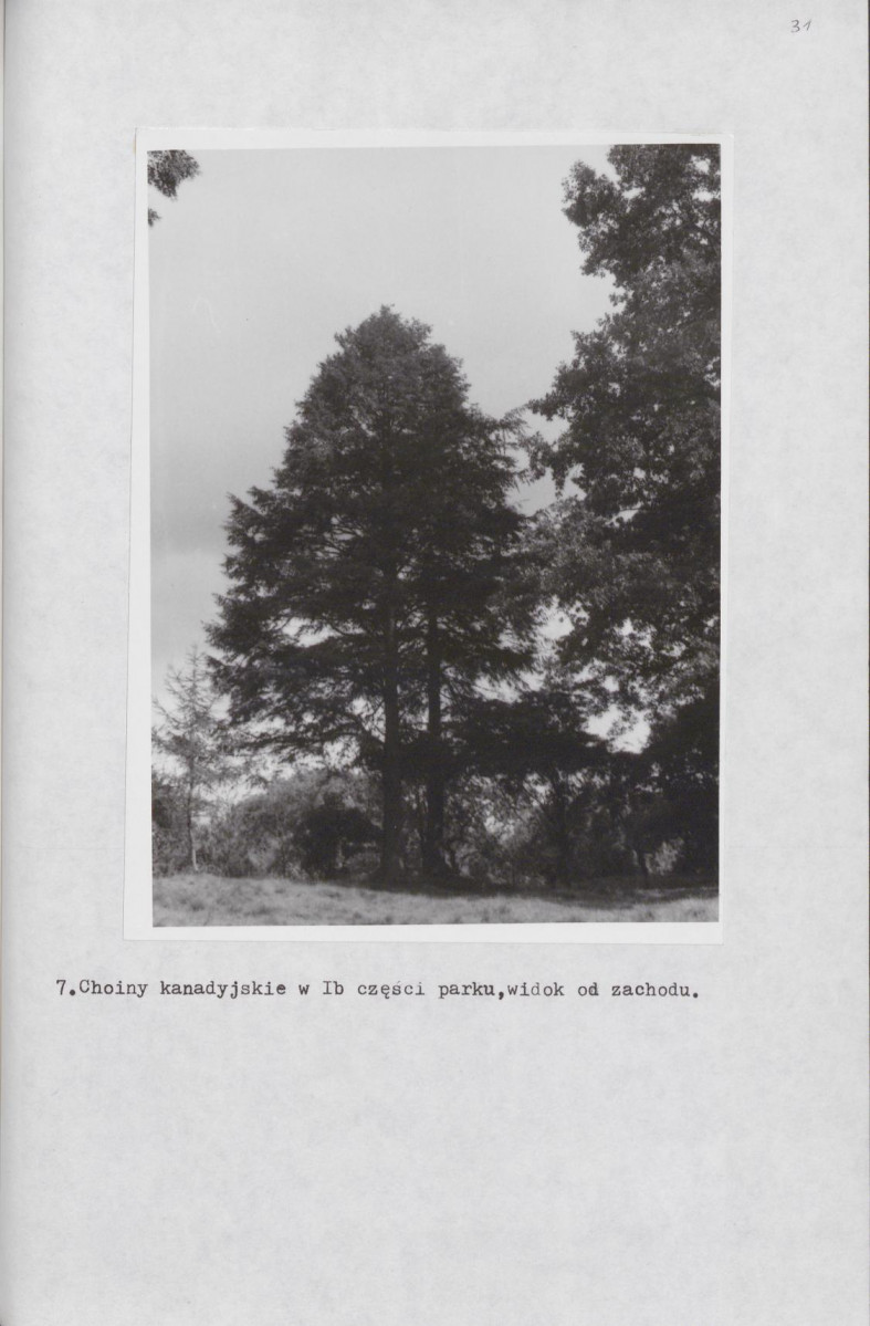 Ewidencja parkowa, skan nr 41