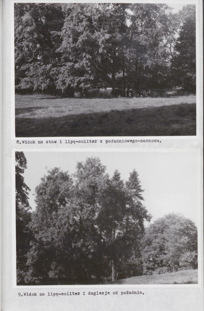 Ewidencja parkowa, skan nr 42