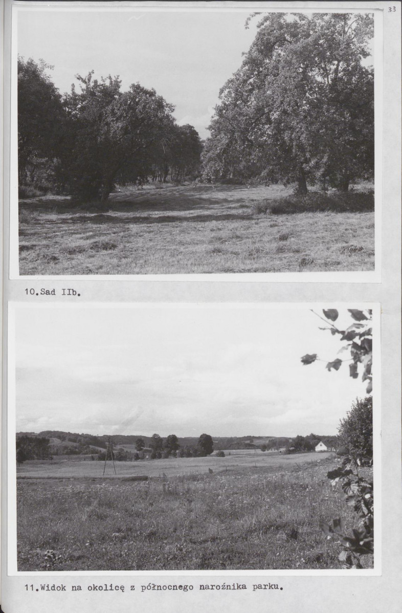 Ewidencja parkowa, skan nr 43