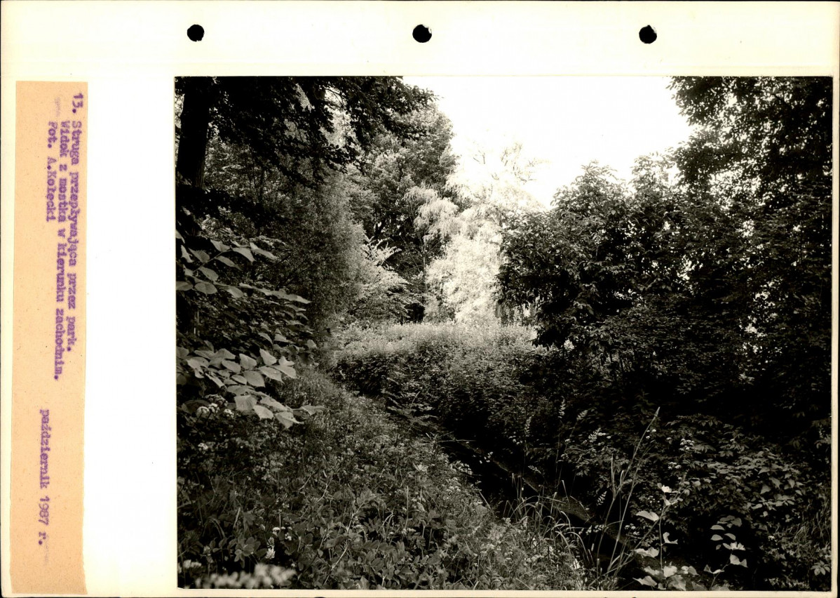 Ewidencja parkowa, skan nr 40
