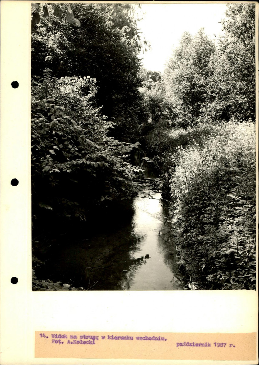 Ewidencja parkowa, skan nr 41