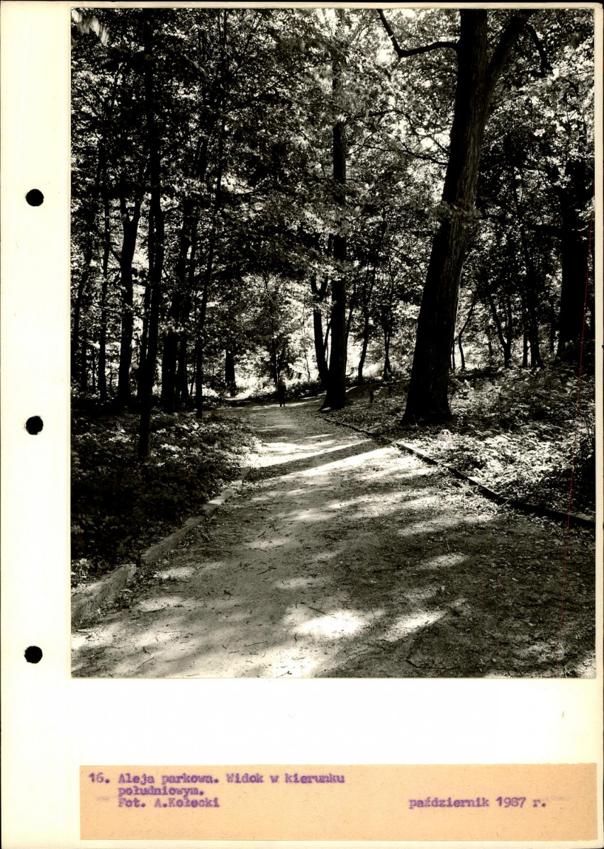 Ewidencja parkowa, skan nr 43