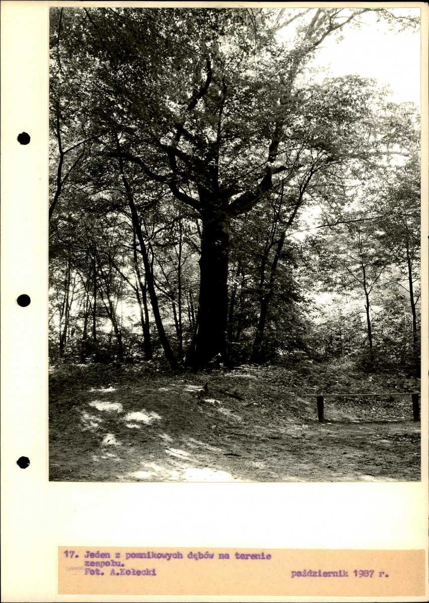 Ewidencja parkowa, skan nr 44