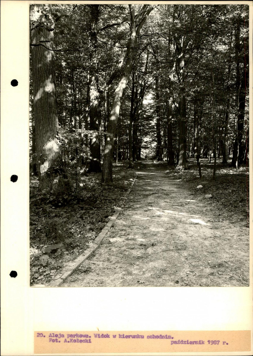Ewidencja parkowa, skan nr 47