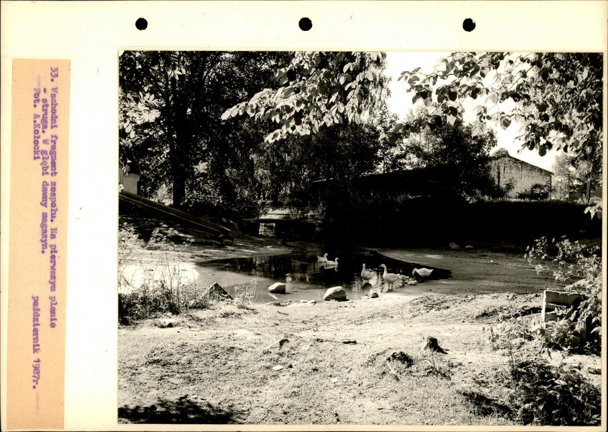 Ewidencja parkowa, skan nr 60