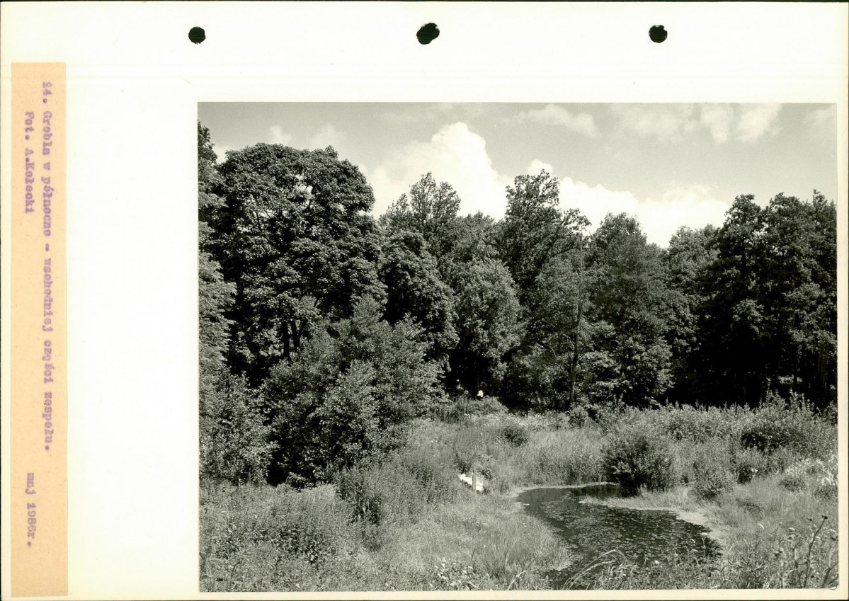 Ewidencja parkowa, skan nr 37