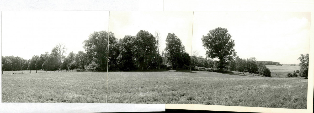 Ewidencja parkowa, skan nr 43