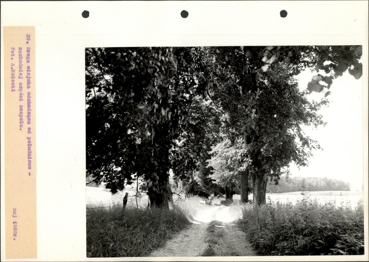 Ewidencja parkowa, skan nr 51