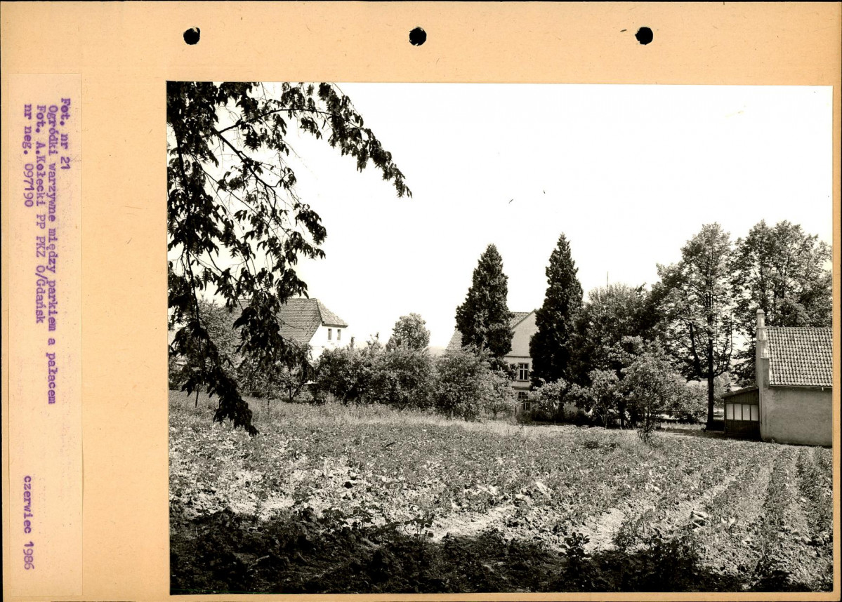 Ewidencja parkowa, skan nr 48