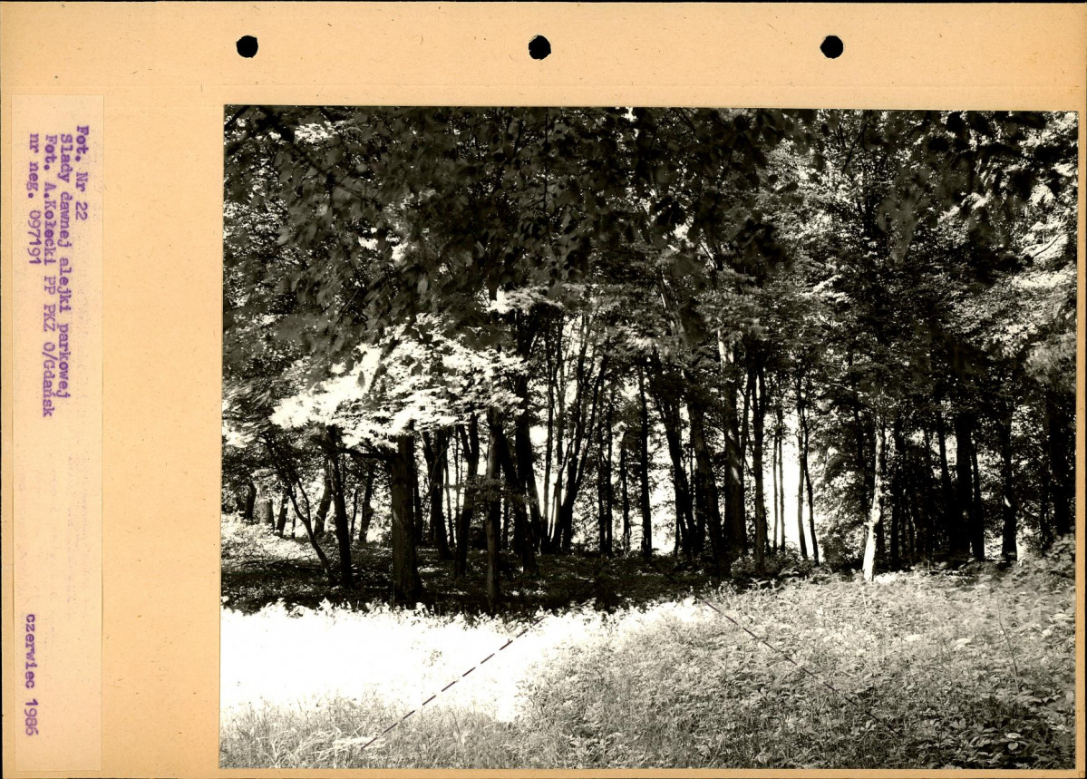 Ewidencja parkowa, skan nr 49
