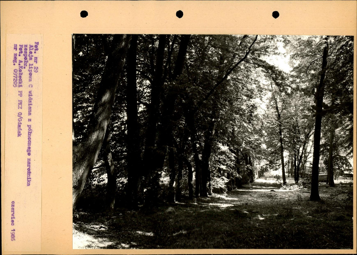 Ewidencja parkowa, skan nr 56