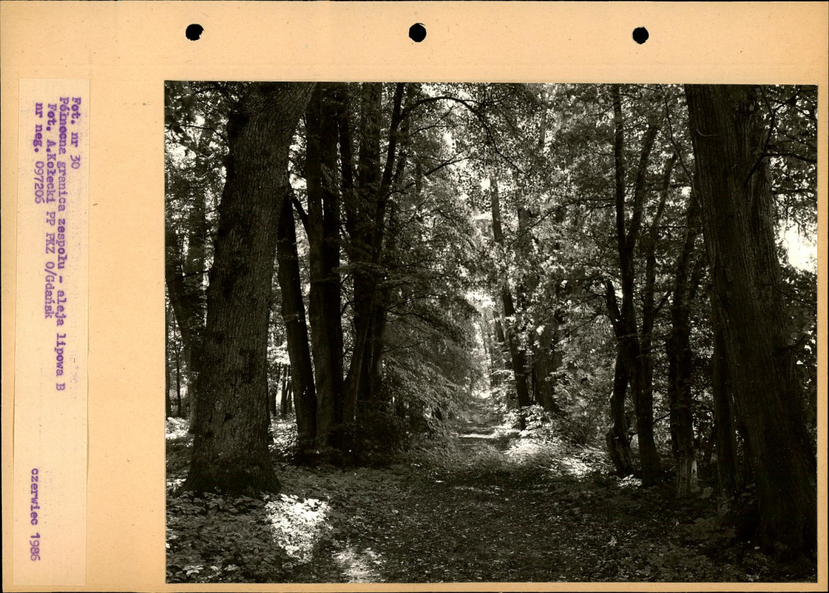 Ewidencja parkowa, skan nr 57