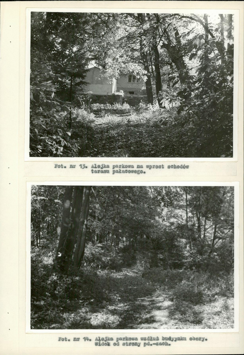 Ewidencja parkowa, skan nr 37