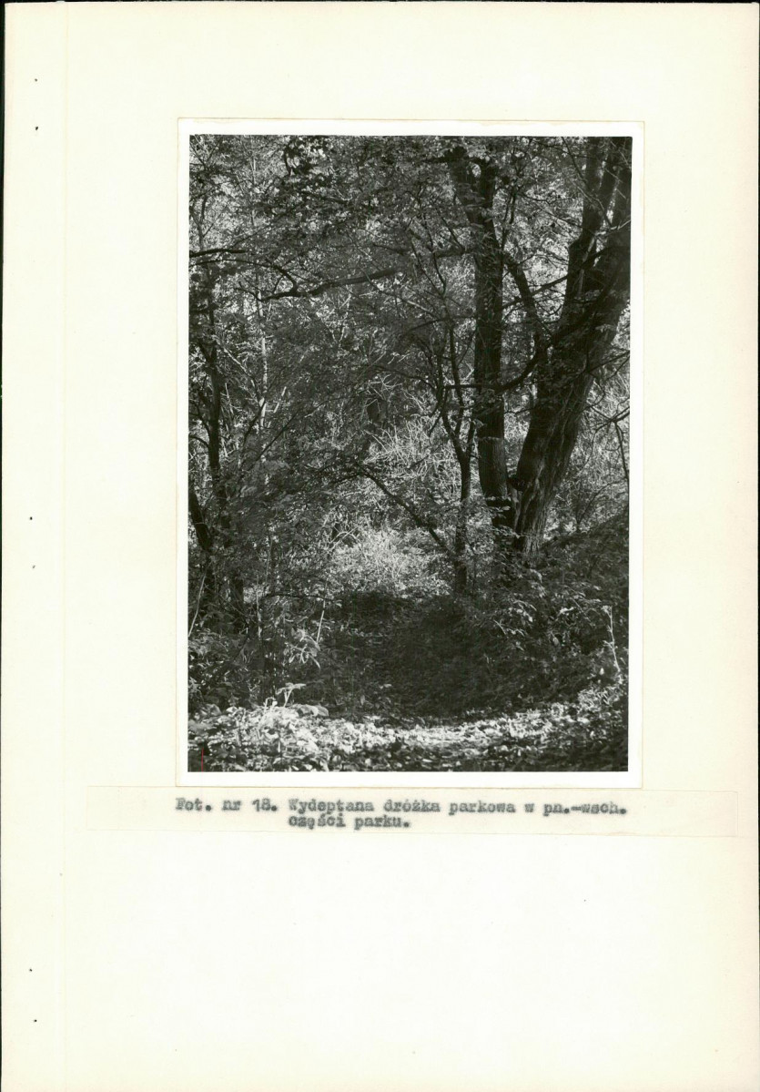 Ewidencja parkowa, skan nr 40