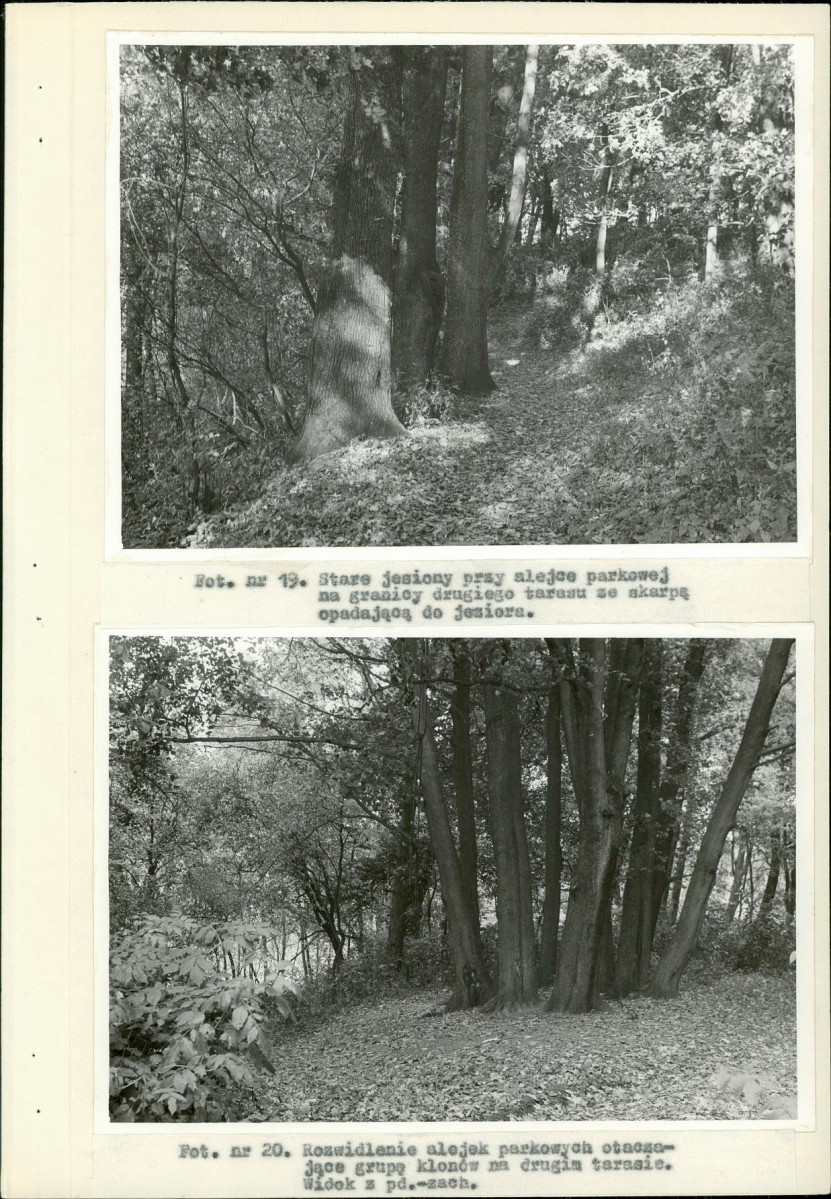 Ewidencja parkowa, skan nr 41