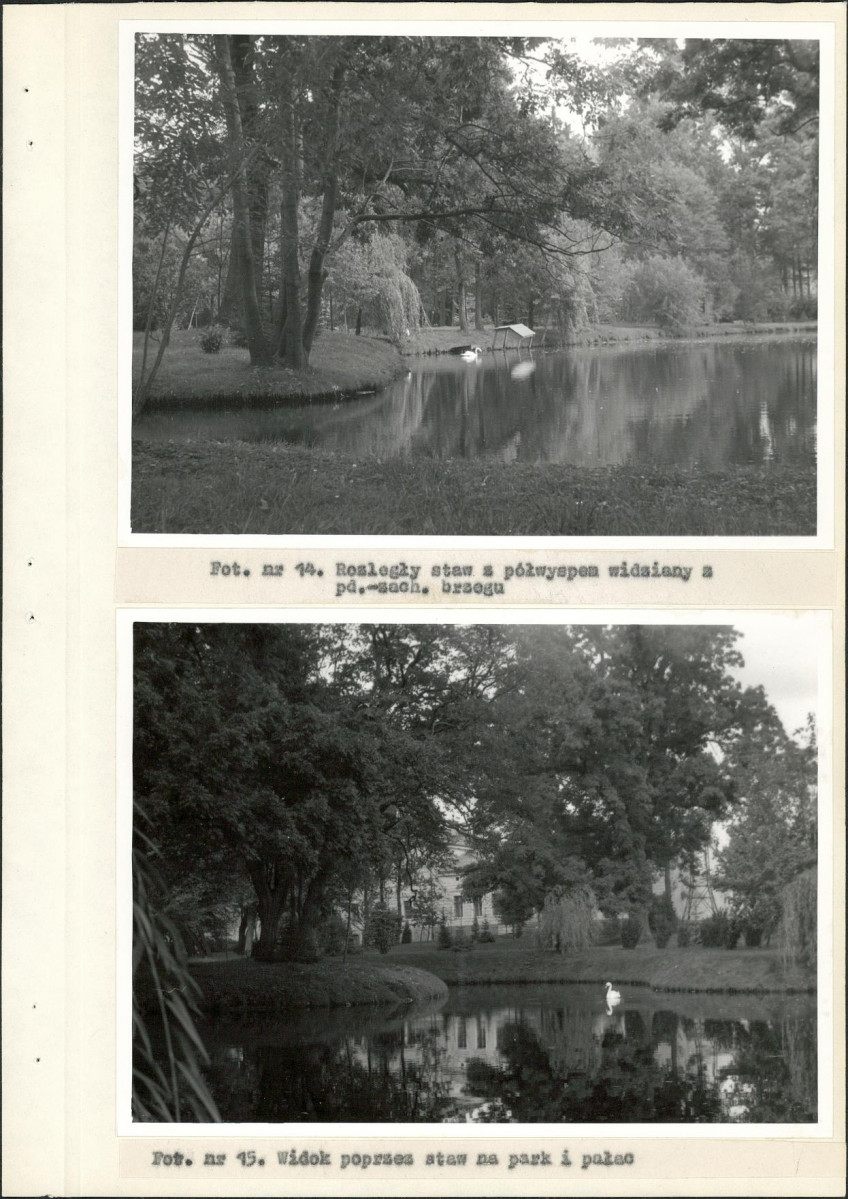 Ewidencja parkowa, skan nr 41