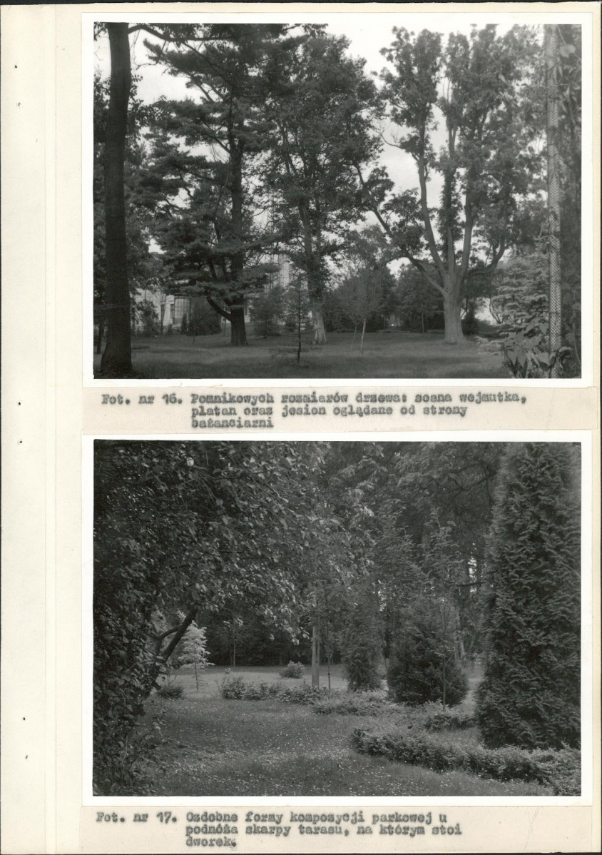 Ewidencja parkowa, skan nr 42