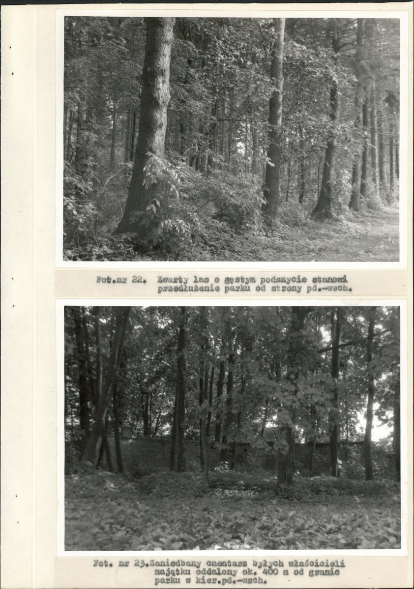 Ewidencja parkowa, skan nr 45